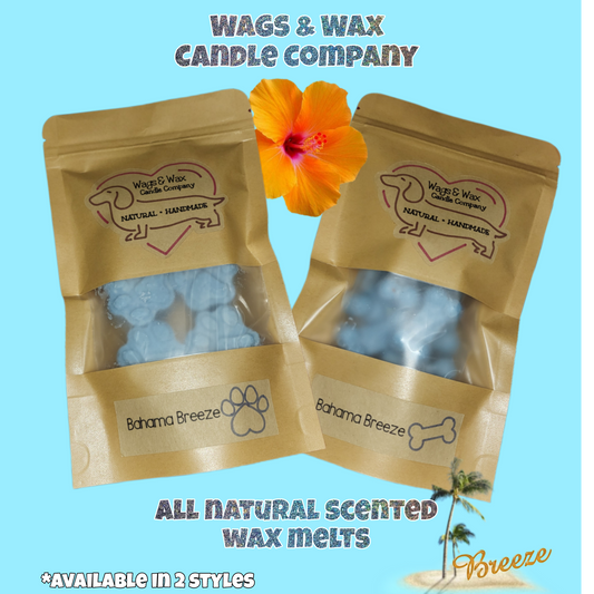 Scented Wax Melts - Natural Coconut Soy